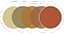 Olive green to copper to brown